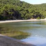 With Parking Space Cove Saplunara, Mljet - 4923 Appartement Maranovići