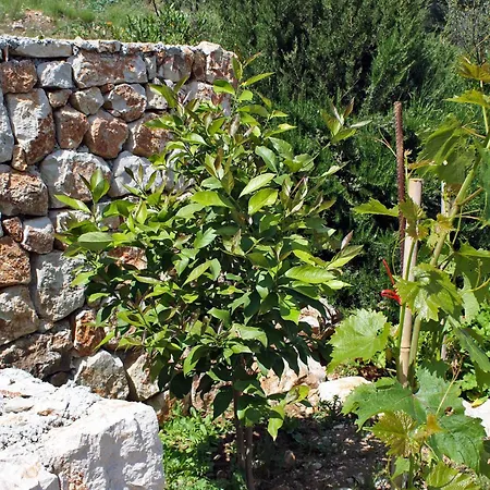 Daire With Parking Space Cove Saplunara, Mljet - 4923 *