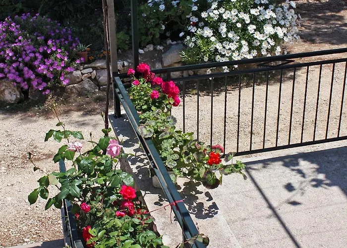 With Parking Space Cove Saplunara, Mljet - 4923 Apartment Maranovici